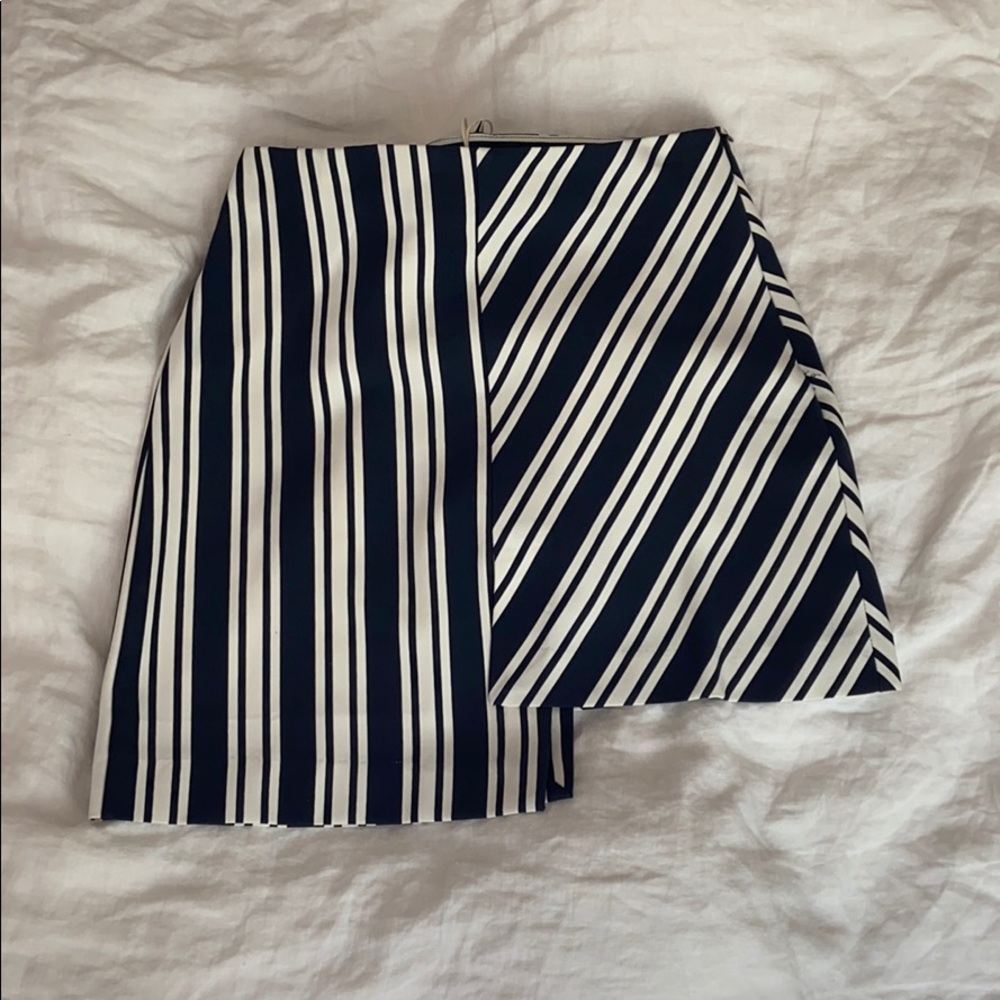 Zara Skirt